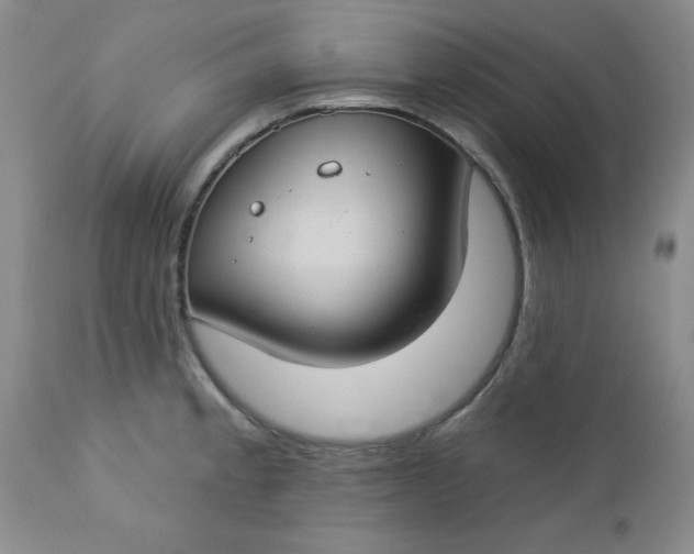 X0000112741189200909101508