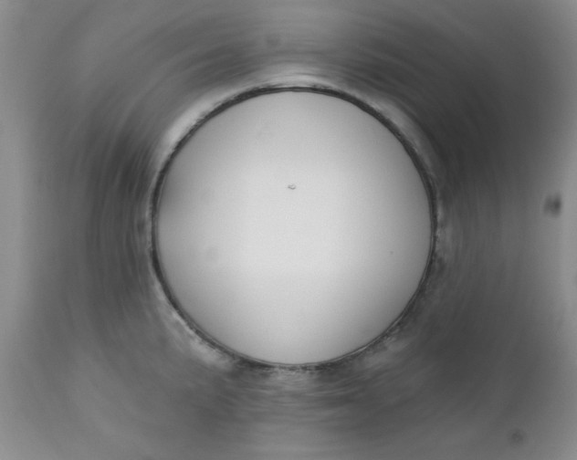 X0000112741191200909101508