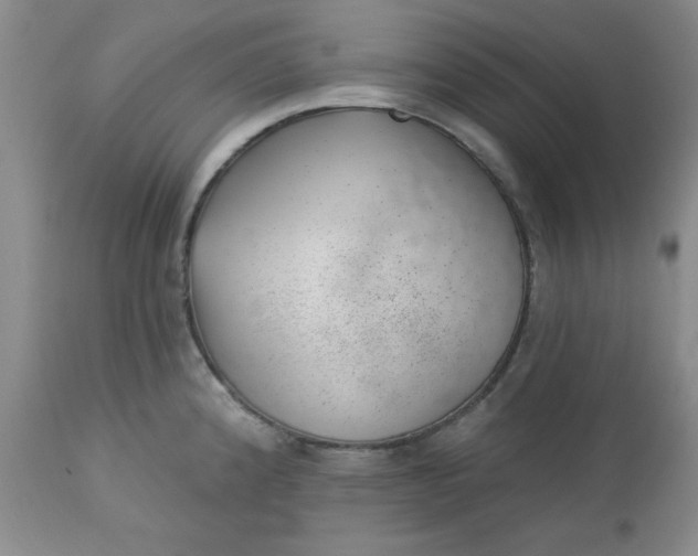 X0000112741192200909101508