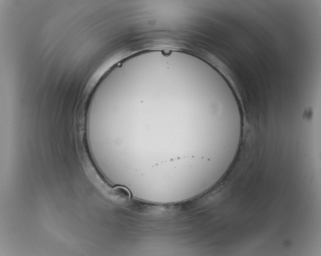 X0000112741195200909101508