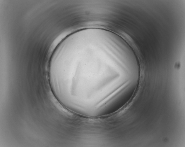 X0000112741196200909101508