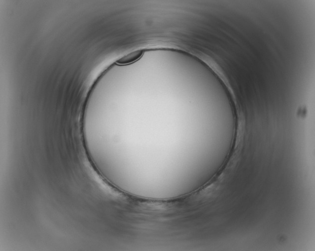 X0000112741197200909101508