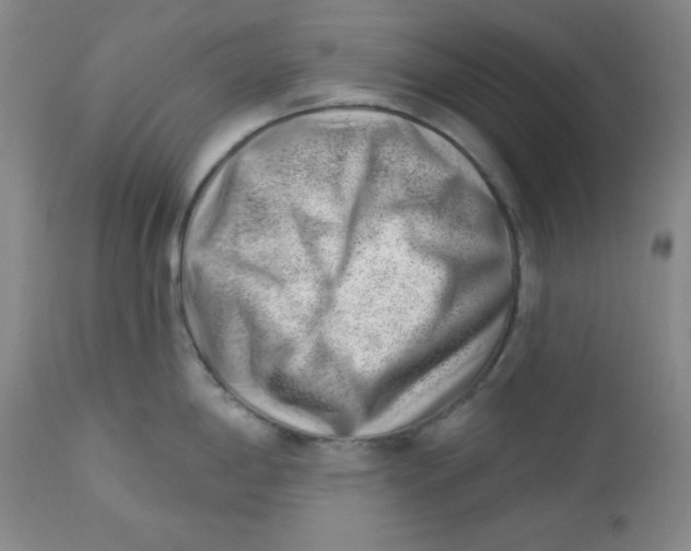 X0000112741198200909101508