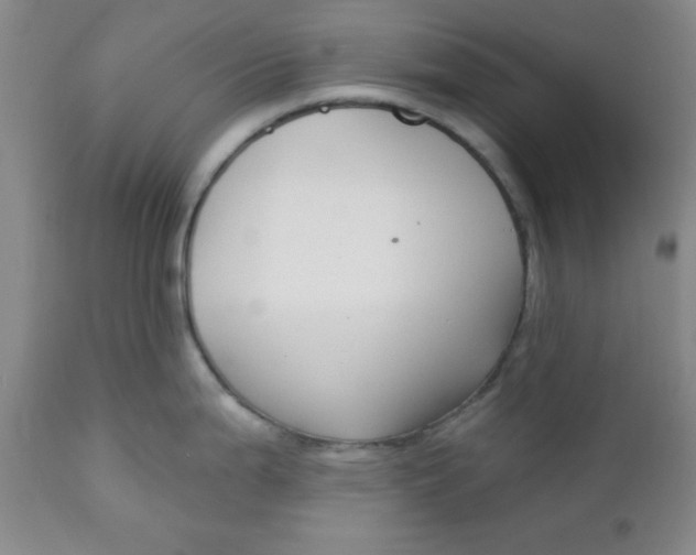 X0000112741199200909101508