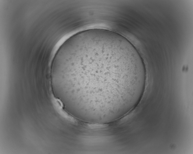 X0000112741200200909101508