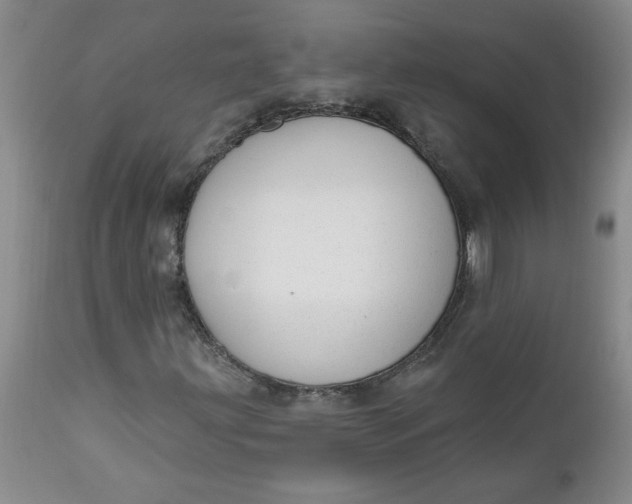 X0000112741203200909101507