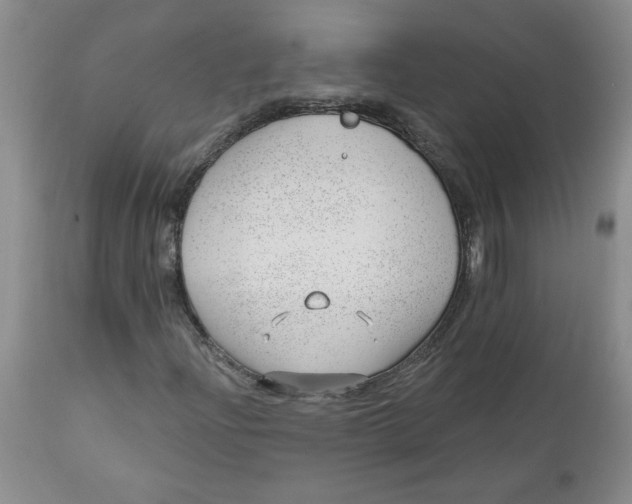 X0000112741204200909101507