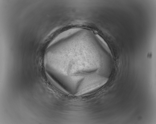 X0000112741206200909101507