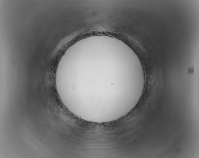 X0000112741207200909101507