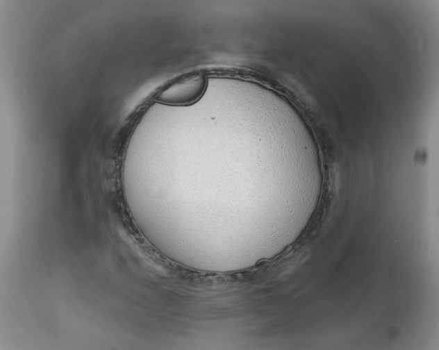 X0000112741208200909101507