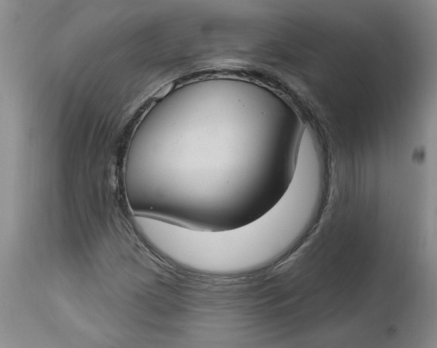 X0000112741209200909101507