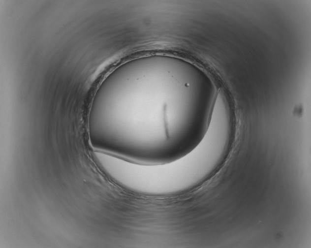 X0000112741210200909101507