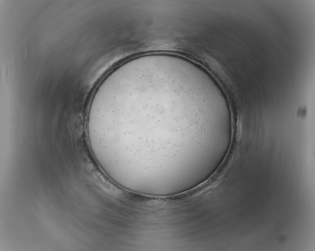 X0000112741212200909101507