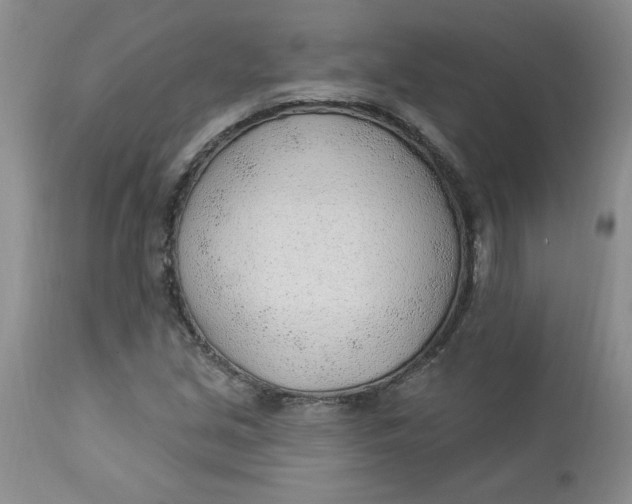 X0000112741213200909101507