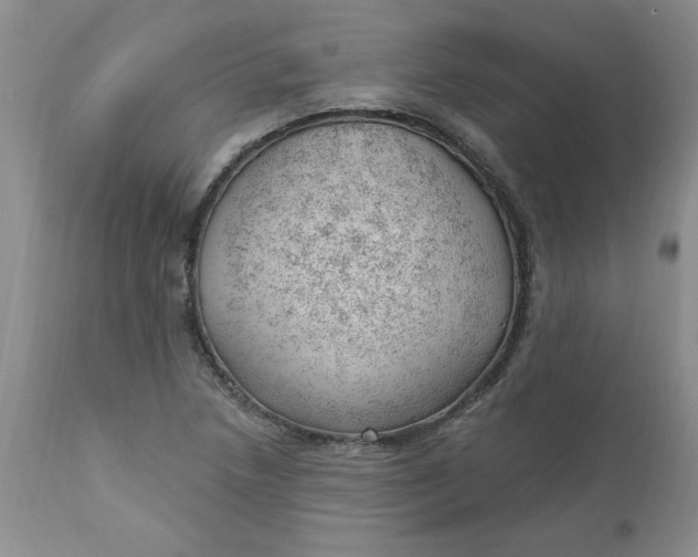 X0000112741218200909101507