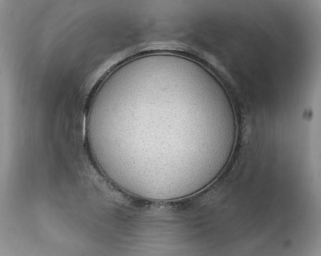 X0000112741221200909101507