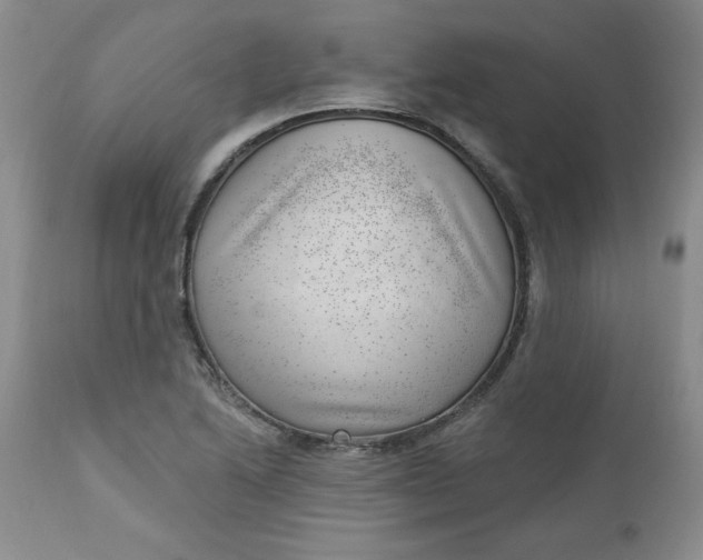 X0000112741222200909101507