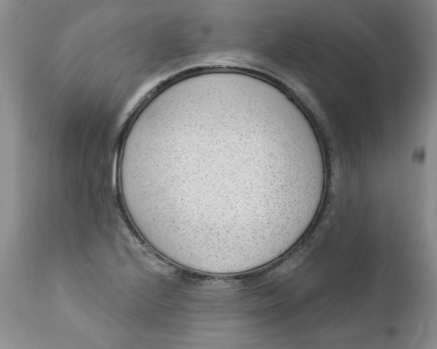 X0000112741224200909101507