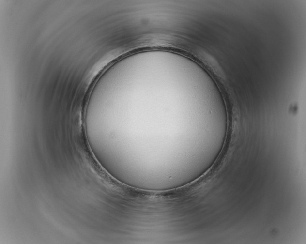 X0000112741226200909101507