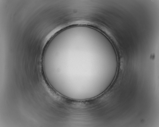 X0000112741229200909101507