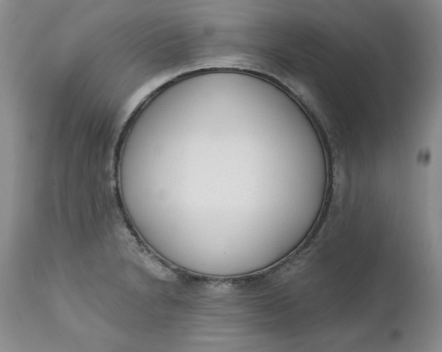 X0000112741230200909101507