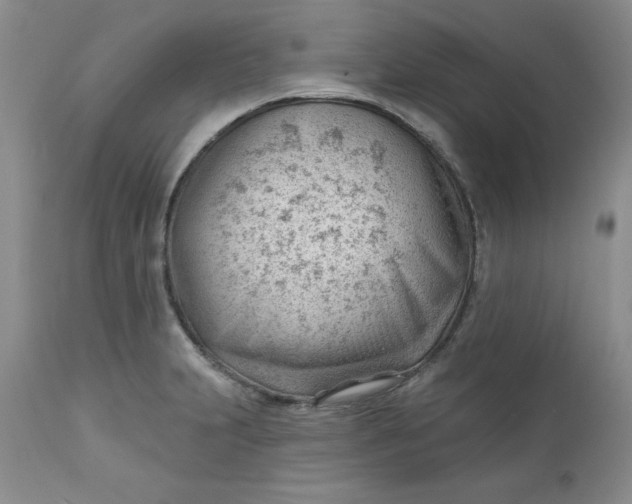 X0000112741231200909101508