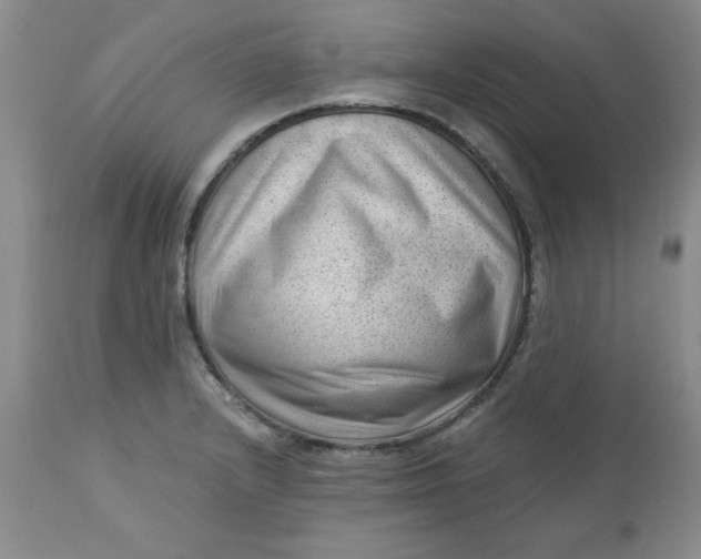 X0000112741232200909101508