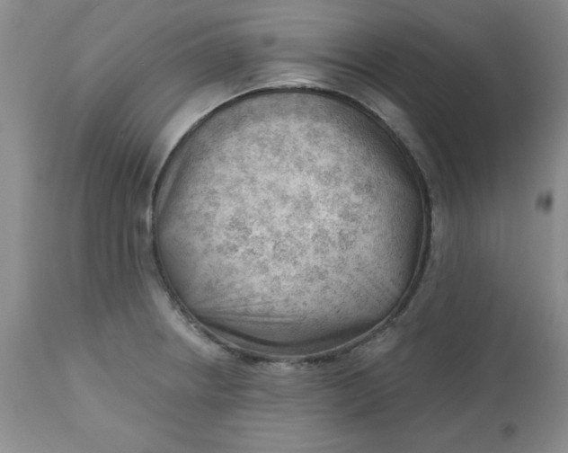 X0000112741234200909101508