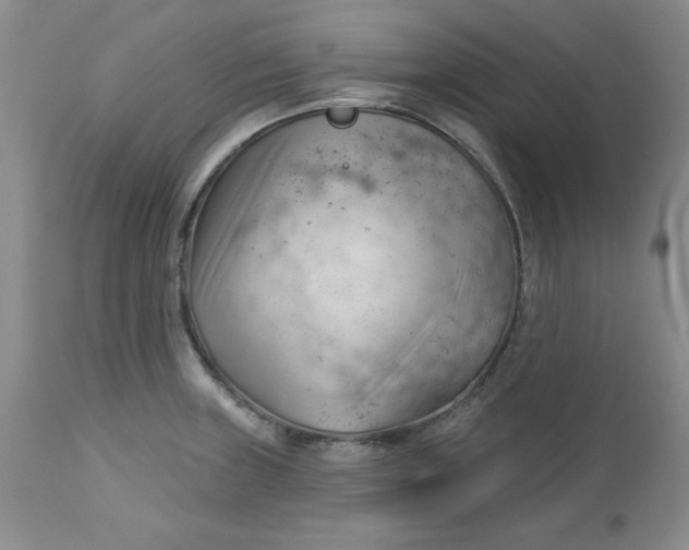 X0000112741235200909101508