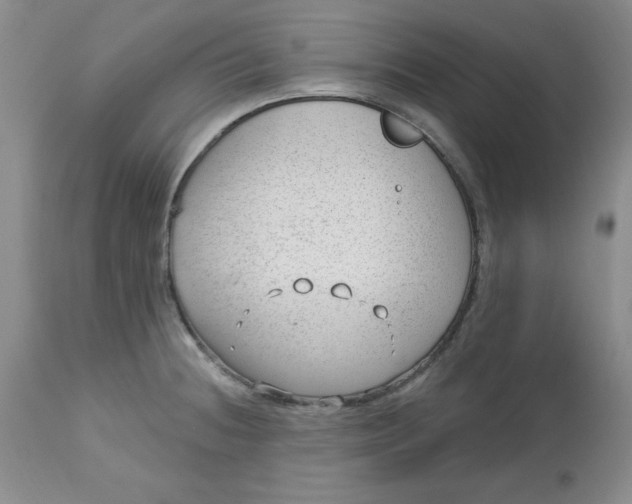 X0000112741236200909101508