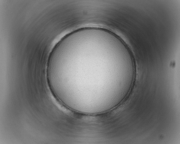 X0000112741237200909101508