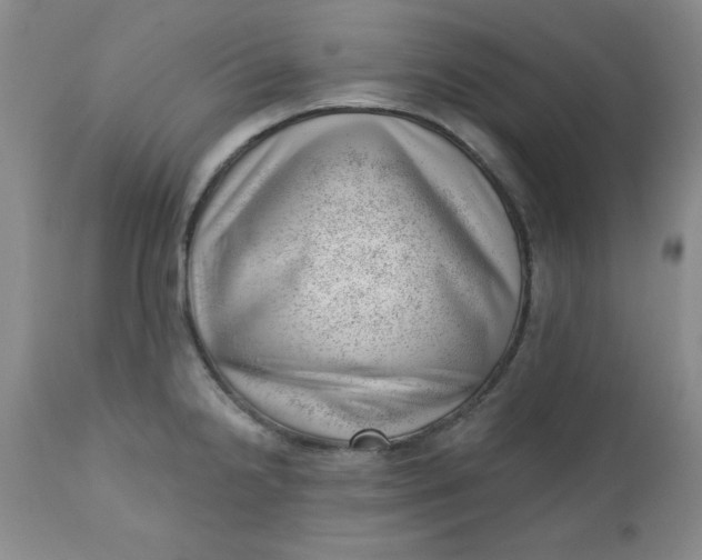 X0000112741238200909101508