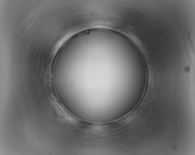 X0000112741240200909101508