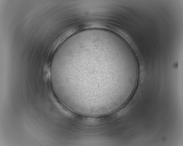 X0000112741241200909101508