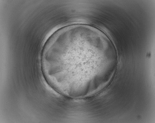 X0000112741243200909101508