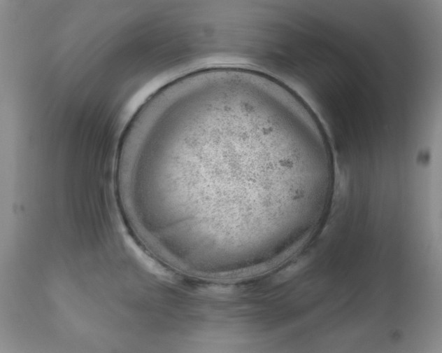 X0000112741245200909101508