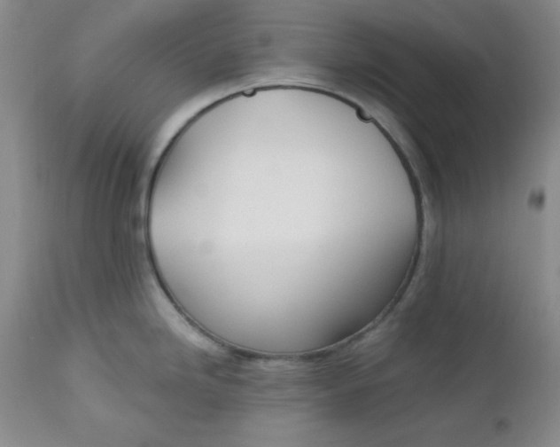 X0000112741246200909101508