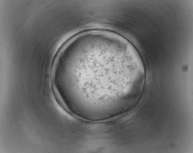 X0000112741247200909101508