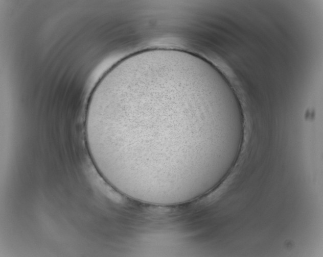 X0000112741248200909101508