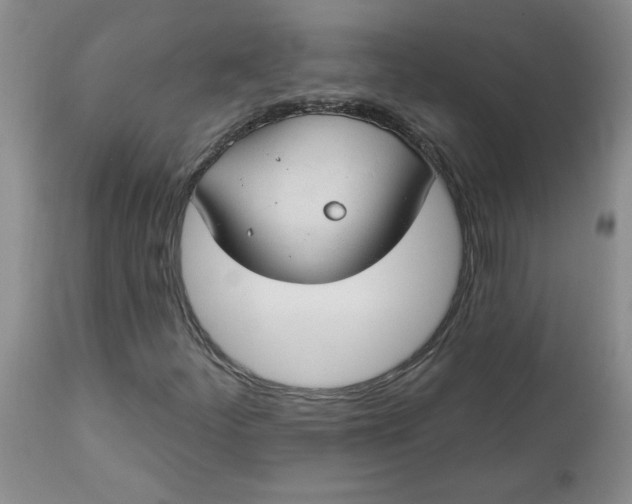 X0000112741252200909101507