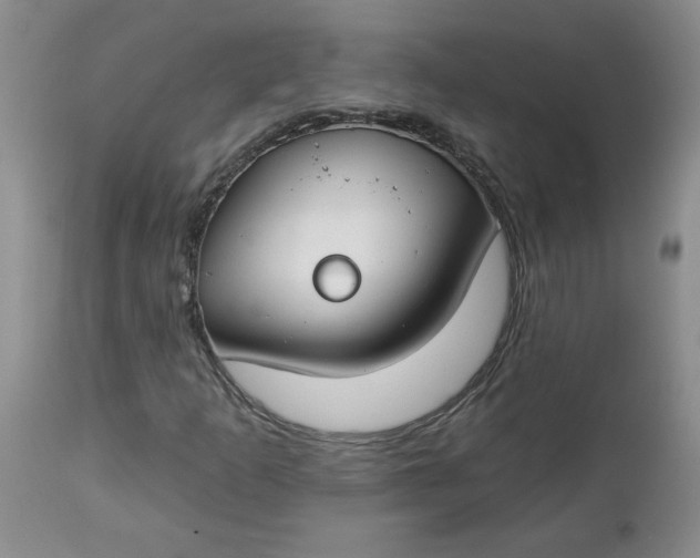 X0000112741253200909101507