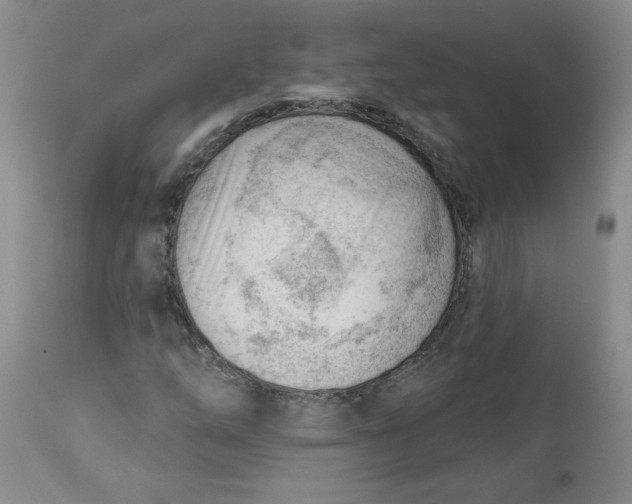 X0000112741254200909101507