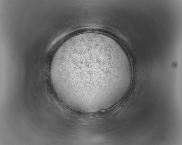 X0000112741255200909101507