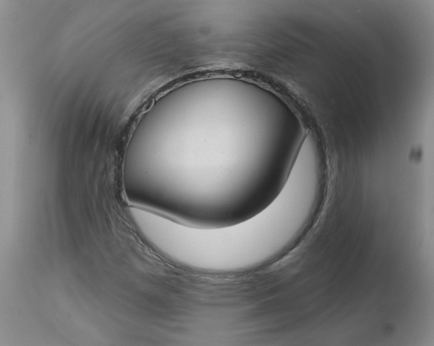 X0000112741257200909101507