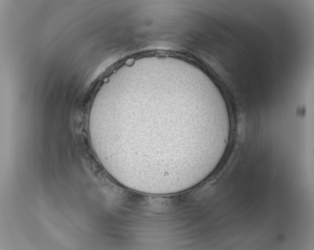 X0000112741258200909101507