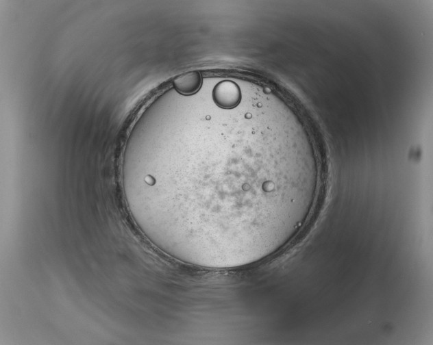 X0000112741259200909101507