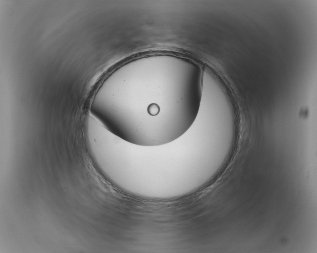 X0000112741260200909101507