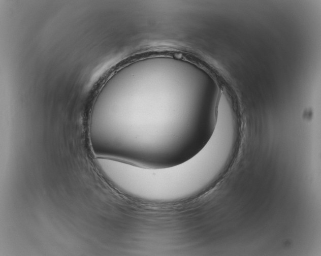 X0000112741261200909101507