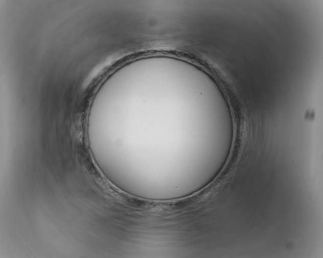 X0000112741262200909101507