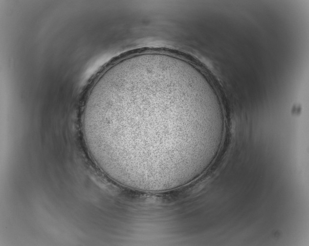 X0000112741263200909101507